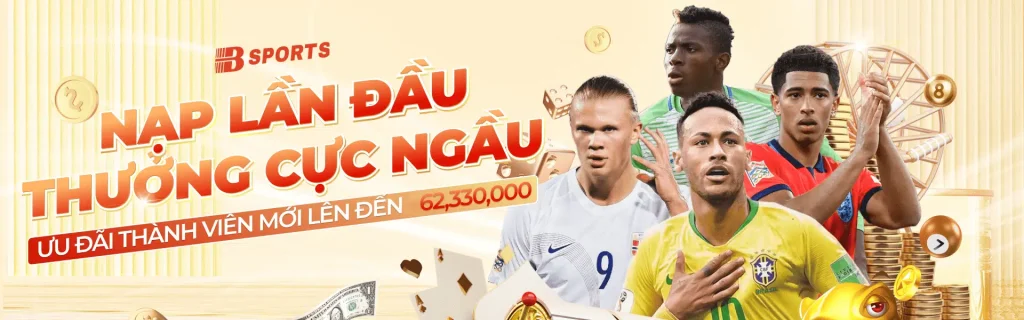 baner bsport
